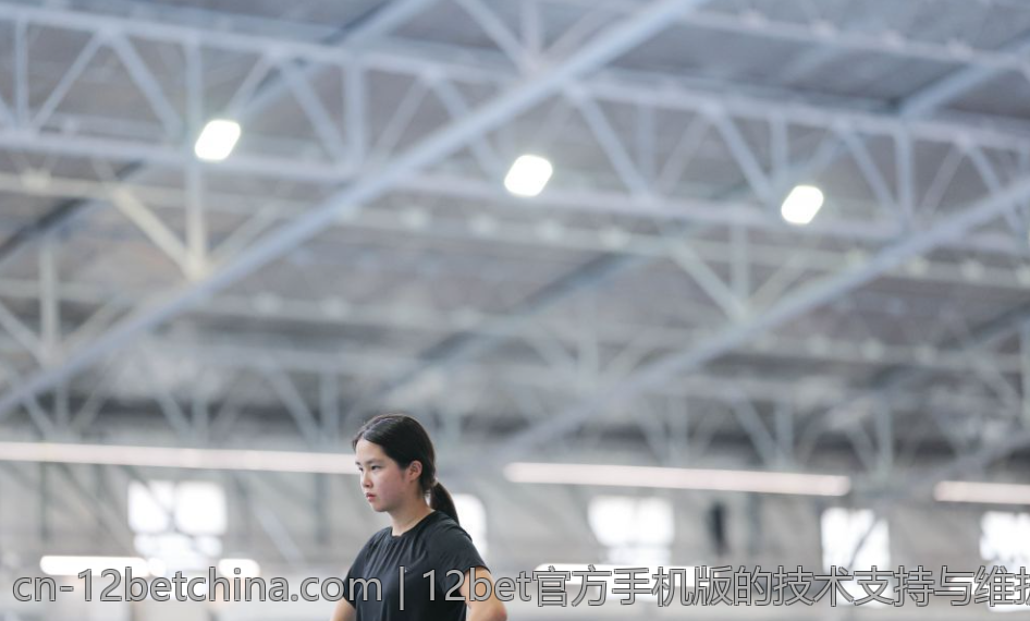 12bet官方手机版的技术支持与维护服务